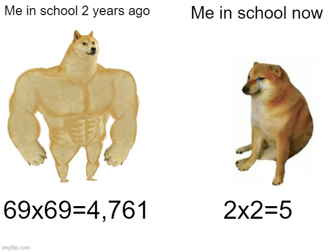 Buff Doge vs. Cheems Meme | Me in school 2 years ago; Me in school now; 69x69=4,761; 2x2=5 | image tagged in memes,buff doge vs cheems | made w/ Imgflip meme maker