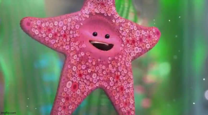 Starfish | image tagged in starfish | made w/ Imgflip meme maker