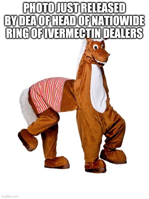 IVERMECTIN CARTEL LEADER | PHOTO JUST RELEASED BY DEA OF HEAD OF NATIOWIDE RING OF IVERMECTIN DEALERS | image tagged in horse costume,funny memes | made w/ Imgflip meme maker