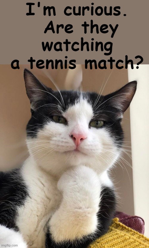 I'm curious.  Are they watching a tennis match? | made w/ Imgflip meme maker