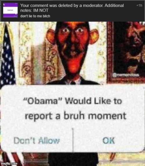 oh how oringinal. he just deleted my comment for no reason at all. | image tagged in obama would like to report a bruh moment | made w/ Imgflip meme maker