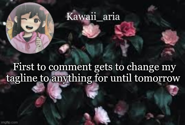 First to comment gets to change my tagline to anything for until tomorrow | made w/ Imgflip meme maker