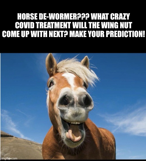 FDA warns against using horse dewormer to fight COVID-19. | HORSE DE-WORMER??? WHAT CRAZY COVID TREATMENT WILL THE WING NUT COME UP WITH NEXT? MAKE YOUR PREDICTION! | image tagged in beating a dead horse,covid-19,republicans,basket of deplorables,morons,hard to swallow pills | made w/ Imgflip meme maker
