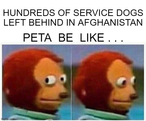 Where's PETA? | HUNDREDS OF SERVICE DOGS LEFT BEHIND IN AFGHANISTAN; PETA  BE  LIKE . . . | image tagged in monkey puppet,peta,biden,afghanistan,liberals,democrats | made w/ Imgflip meme maker