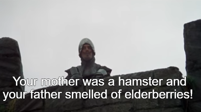 Your mother was a hamster Blank Meme Template