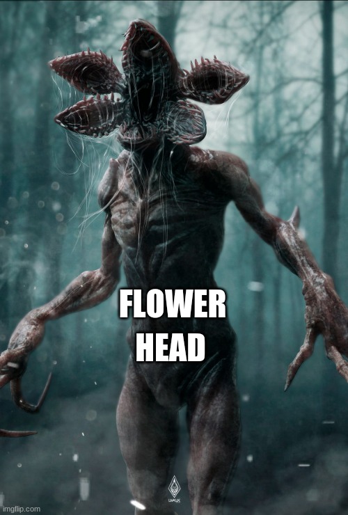 if you dont see it then wow | HEAD; FLOWER | image tagged in stranger things | made w/ Imgflip meme maker