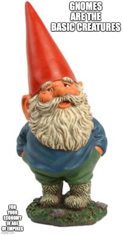 Garden Gnome | GNOMES ARE THE BASIC CREATURES; FOR YOUR ECONOMY IN AGE OF EMPIRES | image tagged in gnome,funny,memes,age of empire,gaming | made w/ Imgflip meme maker
