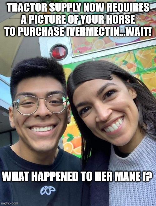 Riding crop for AOC |  TRACTOR SUPPLY NOW REQUIRES A PICTURE OF YOUR HORSE TO PURCHASE IVERMECTIN...WAIT! WHAT HAPPENED TO HER MANE !? | image tagged in aoc,ivermectin,mane,horse,tractor | made w/ Imgflip meme maker