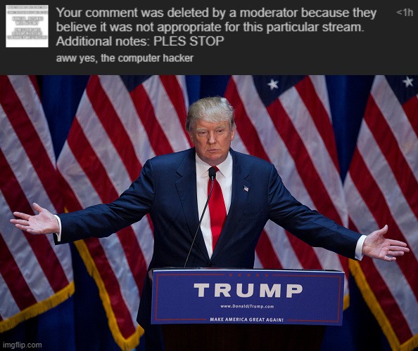 MrBerry2010 just deleted my comment again FOR NO REASON. bruh. | image tagged in donald trump,bruh | made w/ Imgflip meme maker