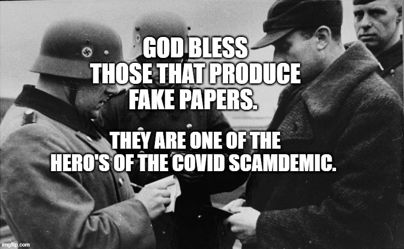 Vaccine passport please | GOD BLESS THOSE THAT PRODUCE FAKE PAPERS. THEY ARE ONE OF THE HERO'S OF THE COVID SCAMDEMIC. | image tagged in vaccine passport please | made w/ Imgflip meme maker
