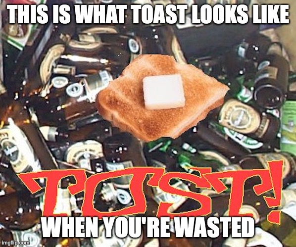 Tost |  THIS IS WHAT TOAST LOOKS LIKE; WHEN YOU'RE WASTED | image tagged in toast,memes | made w/ Imgflip meme maker