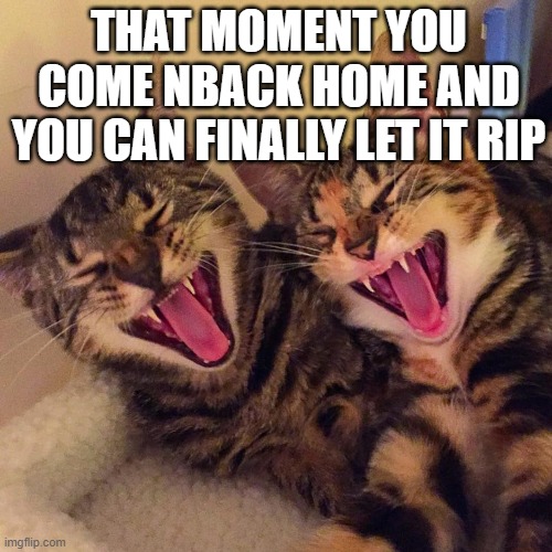let it RIP | THAT MOMENT YOU COME NBACK HOME AND YOU CAN FINALLY LET IT RIP | image tagged in cats smiling | made w/ Imgflip meme maker