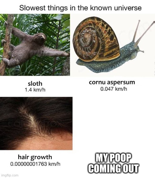 I am constipated |  MY POOP COMING OUT | image tagged in slowest things,constipated,constipation,poop,pooping | made w/ Imgflip meme maker
