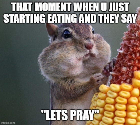 orwngirh | THAT MOMENT WHEN U JUST STARTING EATING AND THEY SAY; "LETS PRAY" | image tagged in thanksgiving squirrel | made w/ Imgflip meme maker