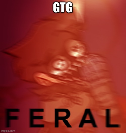 F E R A L | GTG | image tagged in f e r a l | made w/ Imgflip meme maker