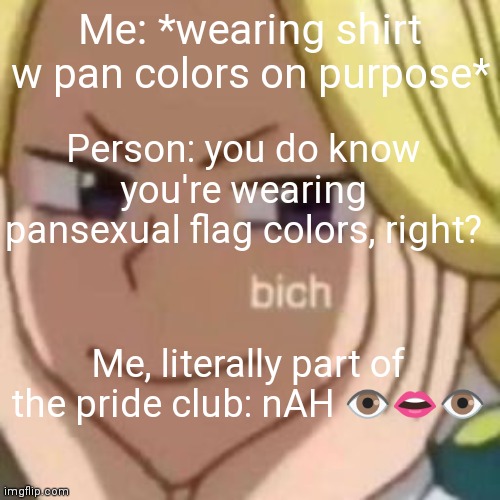 This happened at 2nd period b r e a k smh. | Me: *wearing shirt w pan colors on purpose*; Person: you do know you're wearing pansexual flag colors, right? Me, literally part of the pride club: nAH 👁️👄👁️ | image tagged in bich | made w/ Imgflip meme maker