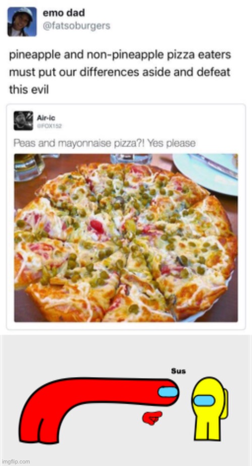 no pls no | image tagged in among us sus,pineapple pizza,memes,funny | made w/ Imgflip meme maker