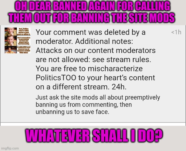 HypocricyToo. Just here to mischaracterize to my hearts content. | OH DEAR BANNED AGAIN FOR CALLING THEM OUT FOR BANNING THE SITE MODS; WHATEVER SHALL I DO? | made w/ Imgflip meme maker