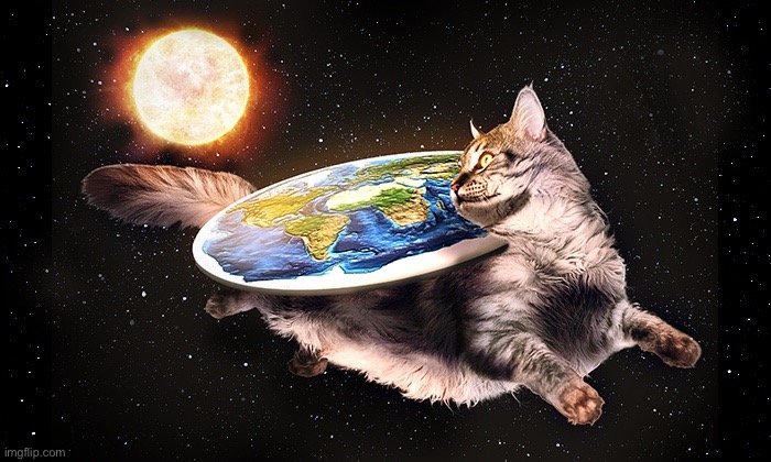 REJECT MODERNITY EMBRACE CATEARTH | image tagged in flat earth cat | made w/ Imgflip meme maker