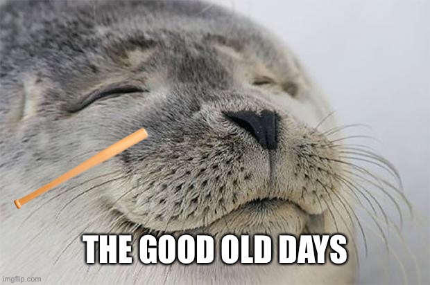 Satisfied Seal Meme | THE GOOD OLD DAYS | image tagged in memes,satisfied seal | made w/ Imgflip meme maker