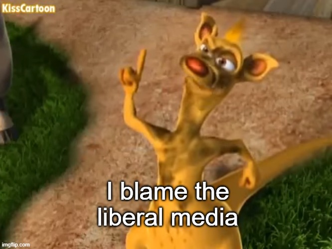 High Quality I blame the liberal media Blank Meme Template