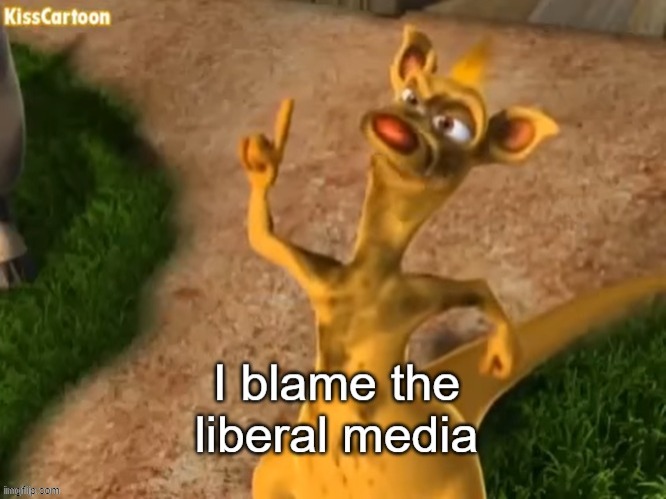 I blame the liberal media | image tagged in i blame the liberal media | made w/ Imgflip meme maker