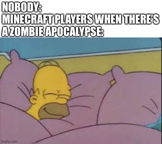 What To Do. |  NOBODY:
MINECRAFT PLAYERS WHEN THERE’S A ZOMBIE APOCALYPSE: | image tagged in how i sleep homer simpson | made w/ Imgflip meme maker