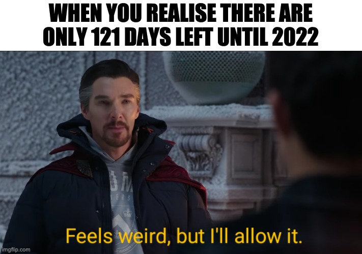 Feels Weird, but I'll Allow It. | WHEN YOU REALISE THERE ARE ONLY 121 DAYS LEFT UNTIL 2022 | image tagged in feels weird but i'll allow it | made w/ Imgflip meme maker