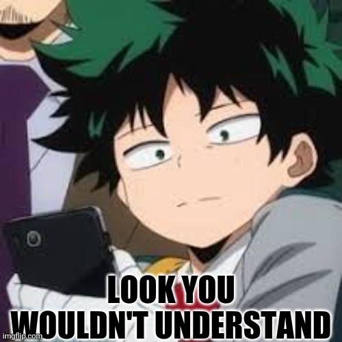 Deku dissapointed | LOOK YOU WOULDN'T UNDERSTAND | image tagged in deku dissapointed | made w/ Imgflip meme maker