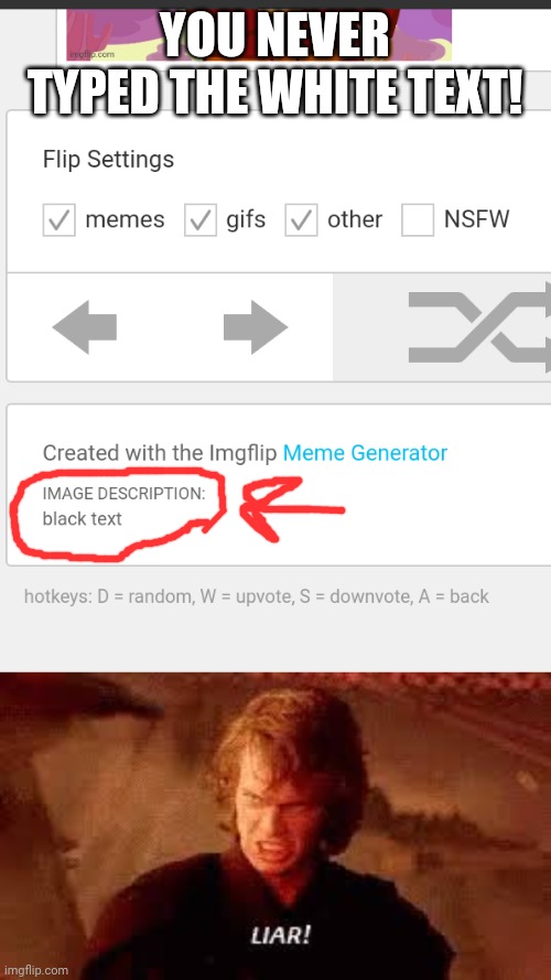 YOU NEVER TYPED THE WHITE TEXT! | image tagged in anakin liar | made w/ Imgflip meme maker