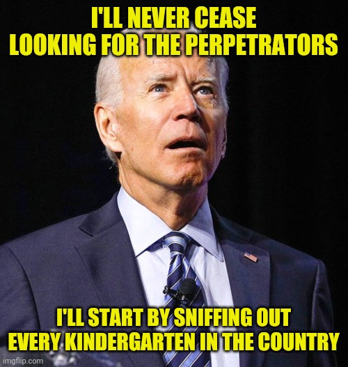 Joe Biden | I'LL NEVER CEASE LOOKING FOR THE PERPETRATORS I'LL START BY SNIFFING OUT EVERY KINDERGARTEN IN THE COUNTRY | image tagged in joe biden | made w/ Imgflip meme maker