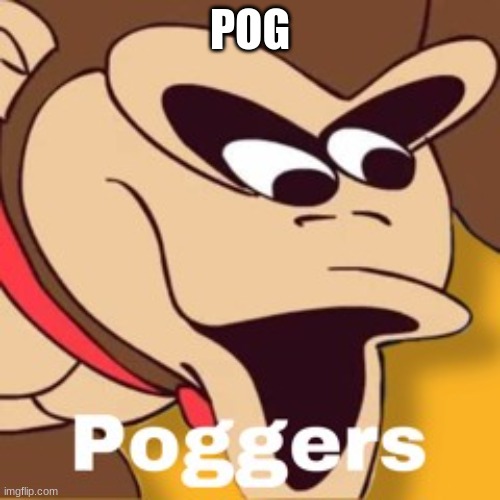 pog monke | POG | image tagged in monke | made w/ Imgflip meme maker