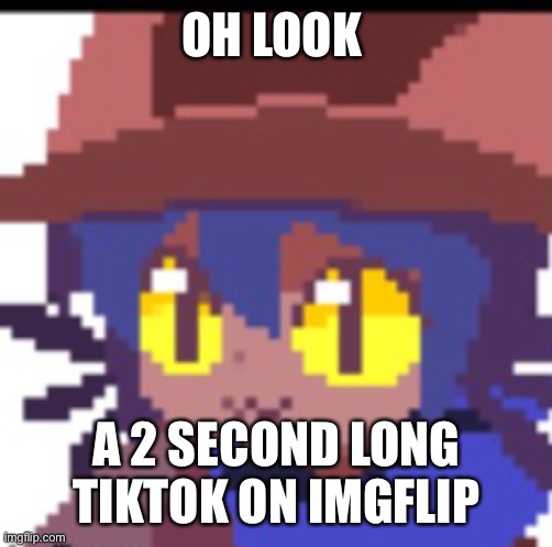 OH LOOK A 2 SECOND LONG TIKTOK ON IMGFLIP | made w/ Imgflip meme maker