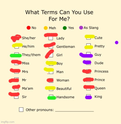 hi again. i’m back and still depressed | image tagged in pronouns sheet | made w/ Imgflip meme maker