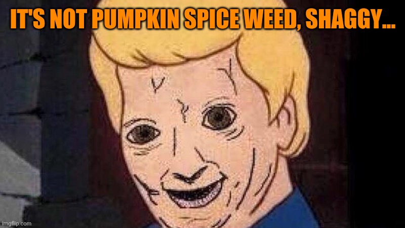 Shaggy this isn't weed | IT'S NOT PUMPKIN SPICE WEED, SHAGGY... | image tagged in shaggy this isn't weed | made w/ Imgflip meme maker