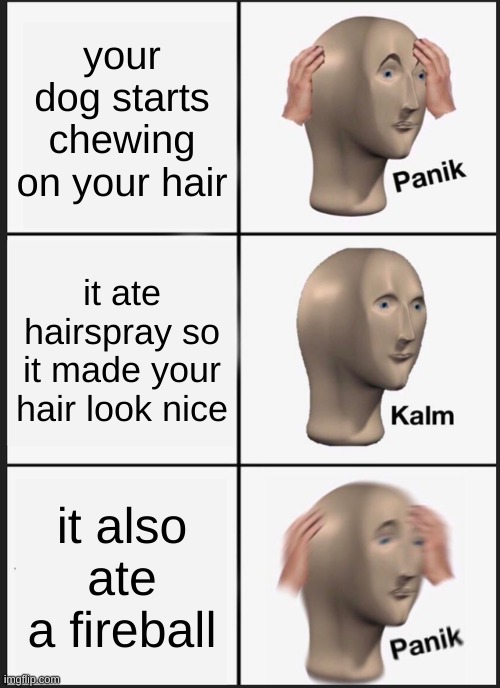 c r i s p y     h a i r | your dog starts chewing on your hair; it ate hairspray so it made your hair look nice; it also ate a fireball | image tagged in memes,panik kalm panik,funny | made w/ Imgflip meme maker