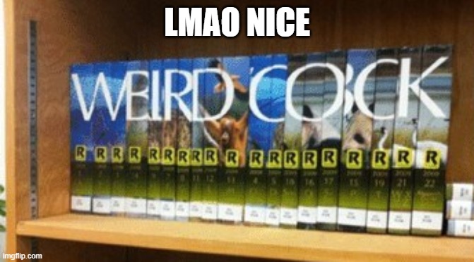 LMAO NICE | made w/ Imgflip meme maker