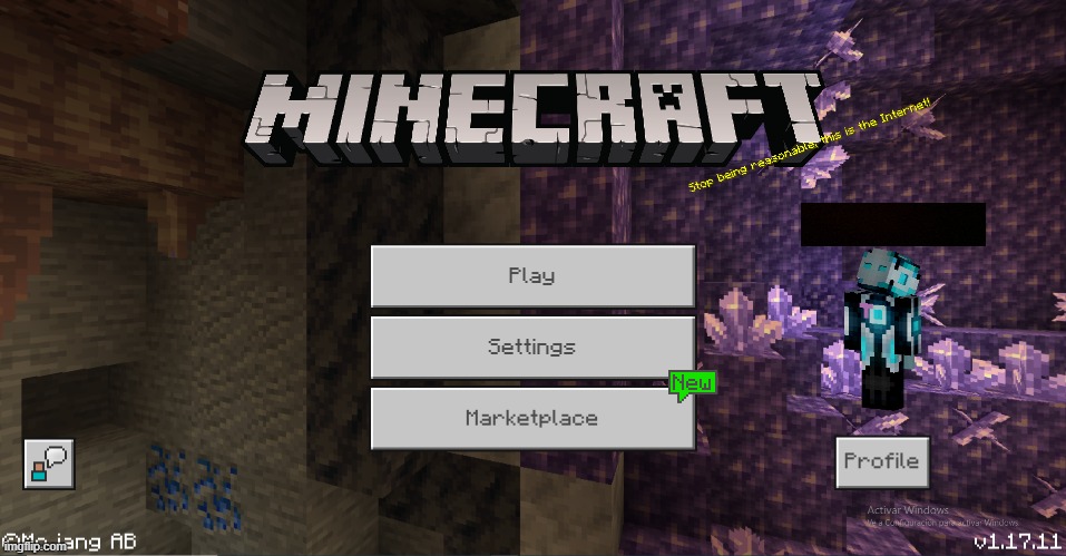 Was playing Bedrock Minecraft when I saw this funny splash message (The T in my skin is a ribbon for supporting Technoblade | made w/ Imgflip meme maker