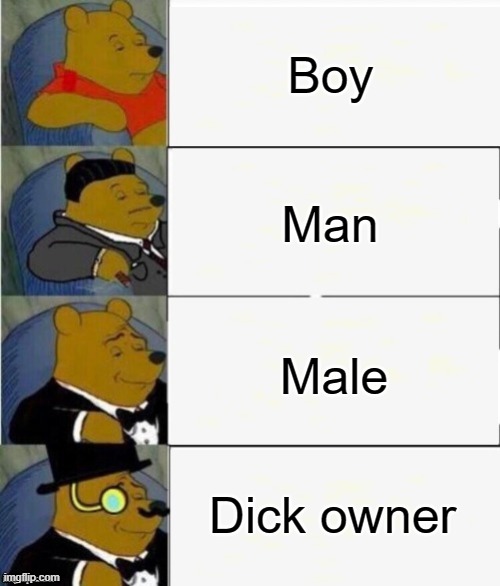 Tuxedo Winnie the Pooh 4 panel | Boy; Man; Male; Dick owner | image tagged in tuxedo winnie the pooh 4 panel | made w/ Imgflip meme maker