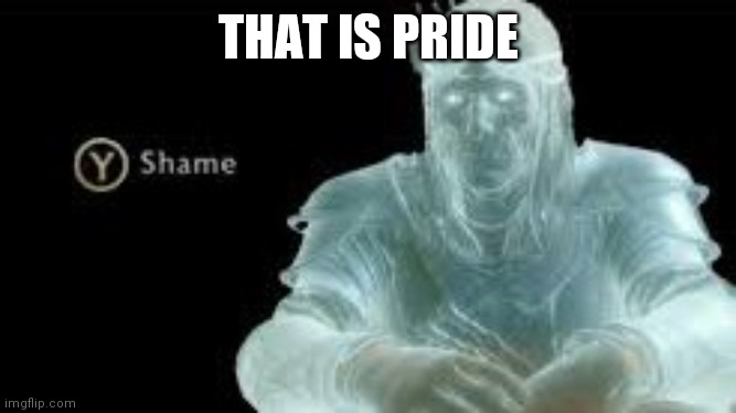 Y (Shame) | THAT IS PRIDE | image tagged in y shame | made w/ Imgflip meme maker