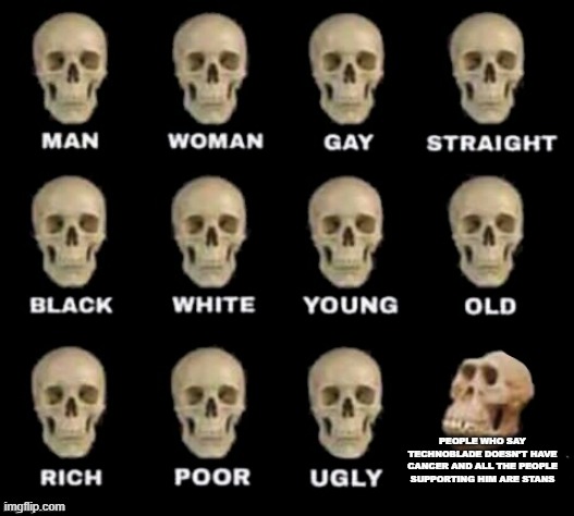 idiot skull | PEOPLE WHO SAY TECHNOBLADE DOESN'T HAVE CANCER AND ALL THE PEOPLE SUPPORTING HIM ARE STANS | image tagged in idiot skull | made w/ Imgflip meme maker