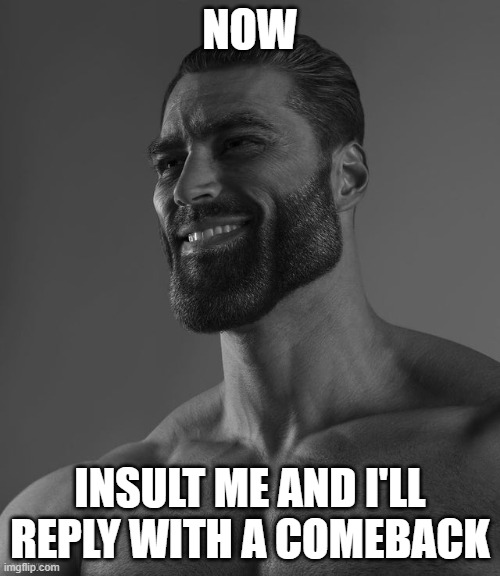 You olo |  NOW; INSULT ME AND I'LL REPLY WITH A COMEBACK | image tagged in giga chad,memes,damn | made w/ Imgflip meme maker