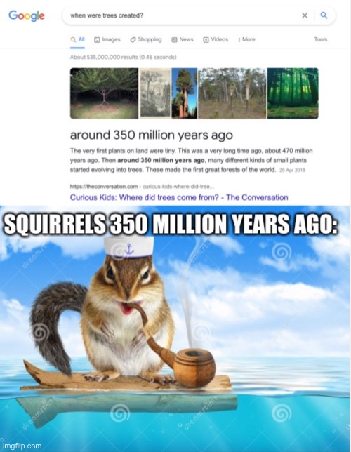 Ahoy! | image tagged in squirrel | made w/ Imgflip meme maker