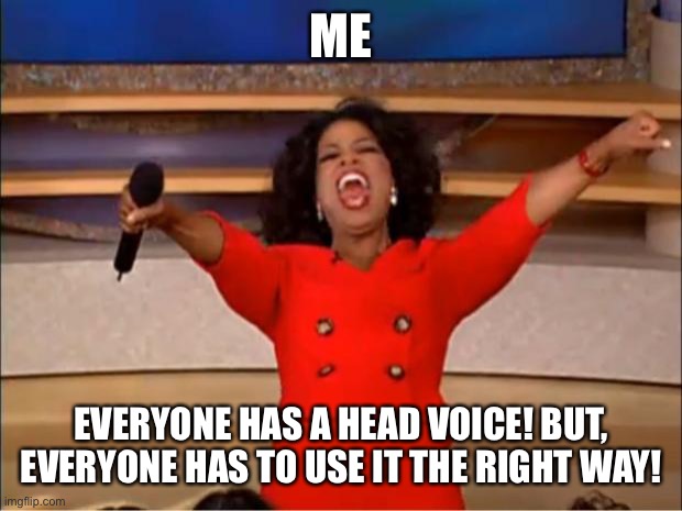 Oprah You Get A Head Voice | ME; EVERYONE HAS A HEAD VOICE! BUT, EVERYONE HAS TO USE IT THE RIGHT WAY! | image tagged in memes,oprah you get a | made w/ Imgflip meme maker
