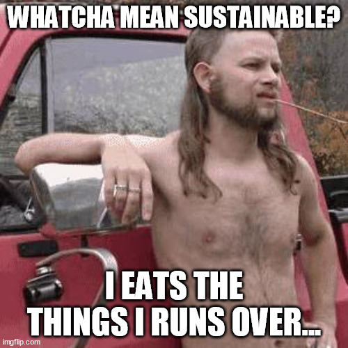 almost redneck | WHATCHA MEAN SUSTAINABLE? I EATS THE THINGS I RUNS OVER... | image tagged in almost redneck,memes | made w/ Imgflip meme maker