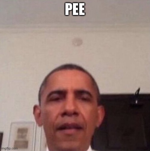 Obama straight face | PEE | image tagged in obama straight face | made w/ Imgflip meme maker