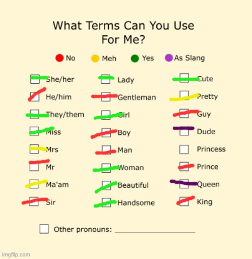 Pronouns Sheet | image tagged in pronouns sheet | made w/ Imgflip meme maker