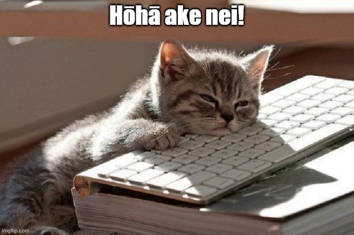 Too Tired | Hōhā ake nei! | image tagged in too tired | made w/ Imgflip meme maker