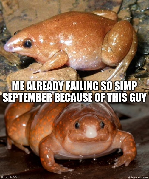 ME ALREADY FAILING SO SIMP SEPTEMBER BECAUSE OF THIS GUY | image tagged in phurg,thicc phurg | made w/ Imgflip meme maker
