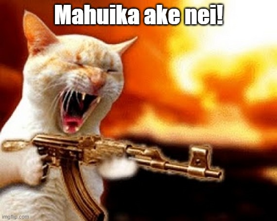 machine gun cat | Mahuika ake nei! | image tagged in machine gun cat | made w/ Imgflip meme maker